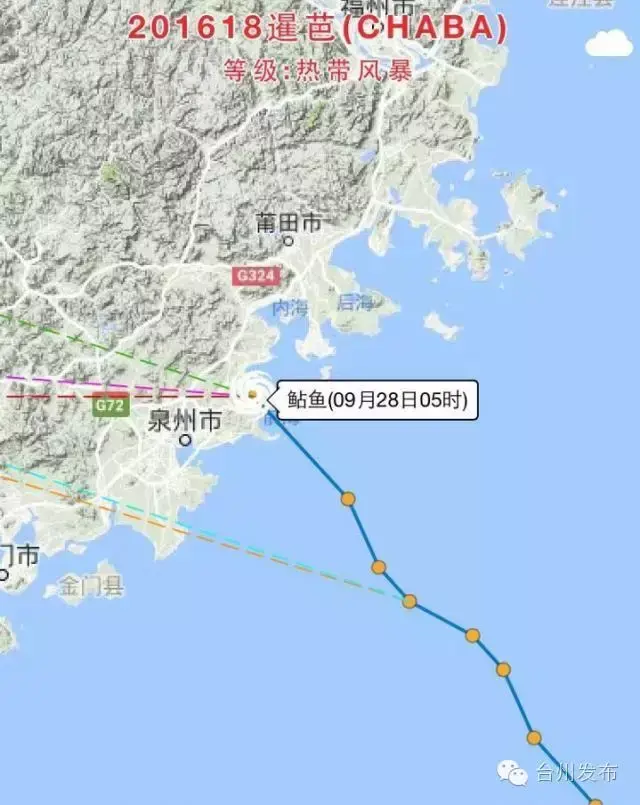 9541开头的是什么电话号码，9541开头的是什么电话（鲇鱼凌晨4：40在惠安登陆）