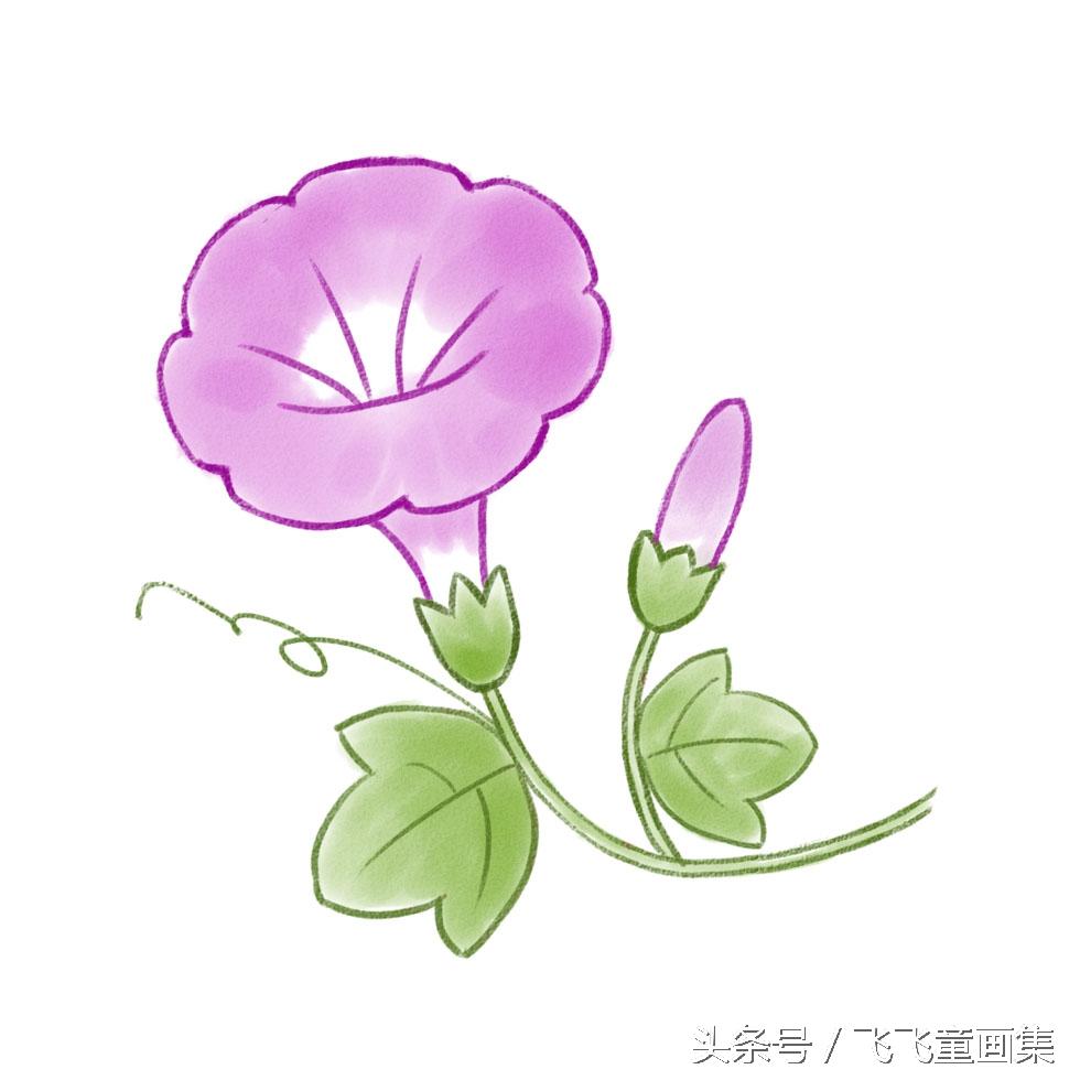 如何画小喇叭简笔画,简笔画的喇叭怎么画(画一朵美丽的牵牛花)