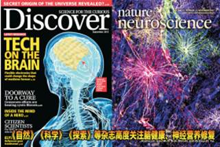 脑蛋白水解物功效是什么，脑蛋白的作用与功效水解物（灵通键助脑病患者“换一个”大脑）