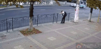 踩狗屎是什么征兆，做梦梦到踩狗屎是什么征兆（有时候踩到狗屎了）