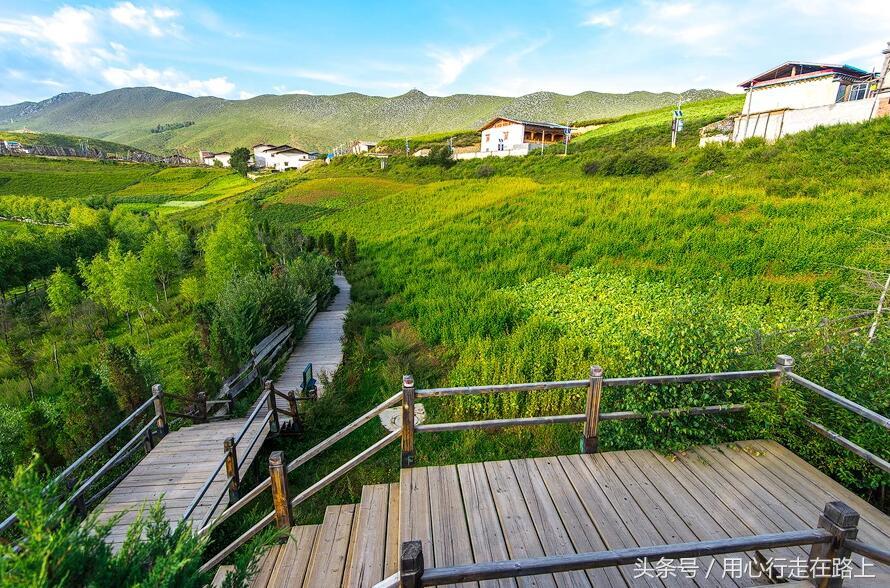 云g是哪里的车牌，云g是云南哪里的牌照（中国唯一一个没有B字车牌号的省份）