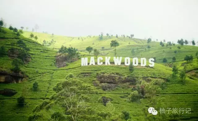 斯里兰卡旅游攻略，斯里兰卡旅游攻略花费（“给读者的”斯里兰卡旅游全攻略详细得不要不要的）