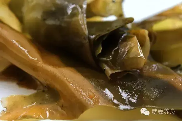 海带的功效，海带的功效与作用以及营养价值（家家都有的两种菜）