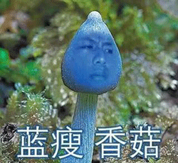 蓝瘦香菇是什么意思，香菇和蓝瘦是什么意思（“蓝瘦香菇”一夜爆红）