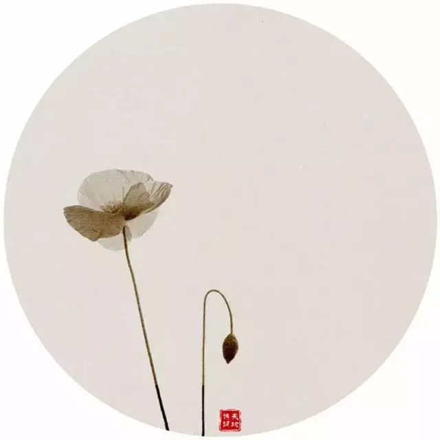 含有哲理的诗句，题西林壁含有哲理的诗句（诗词中那些蕴含哲理的句子）