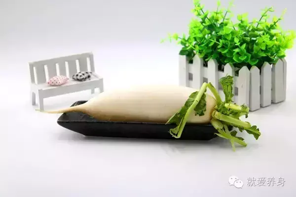 海带的功效，海带的功效与作用以及营养价值（家家都有的两种菜）