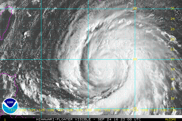 9541开头的是什么电话号码，9541开头的是什么电话（鲇鱼凌晨4：40在惠安登陆）