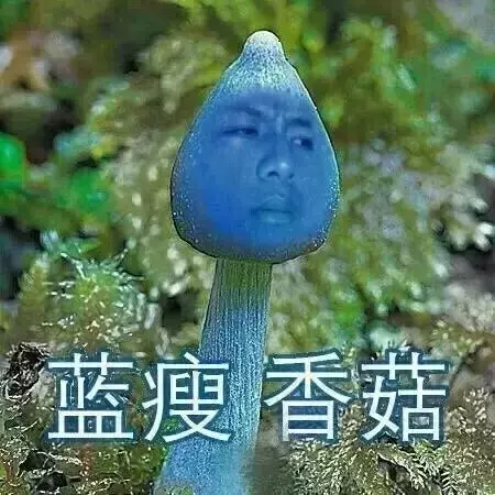 难受香菇什么意思啊，网络用语香菇的意思（“蓝瘦香菇”到底是什么菇）