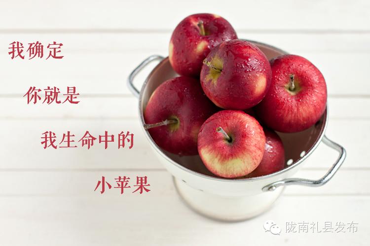 你是我的小苹果，是什么意思（<爱情篇>--中秋送礼）