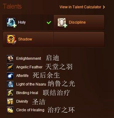 魔兽世界神牧堆什么属性，神牧属性优先级（团队副本欧美服神牧主流天赋属性及附魔选择）