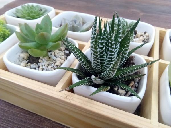 双击亮屏怎么设置，双击屏幕唤醒怎么设置（红辣椒国民大圣评测）