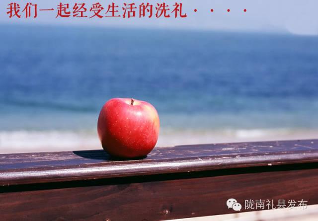 你是我的小苹果，是什么意思（<爱情篇>--中秋送礼）