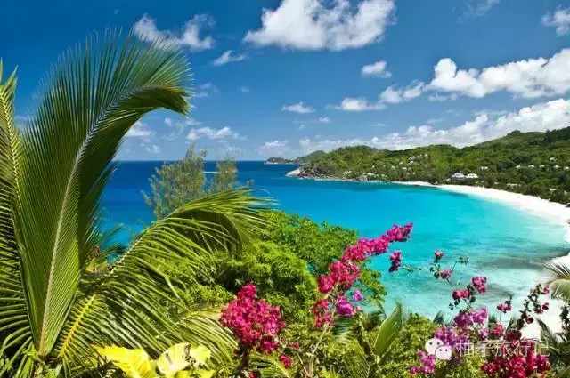 斯里兰卡旅游攻略，斯里兰卡旅游攻略花费（“给读者的”斯里兰卡旅游全攻略详细得不要不要的）