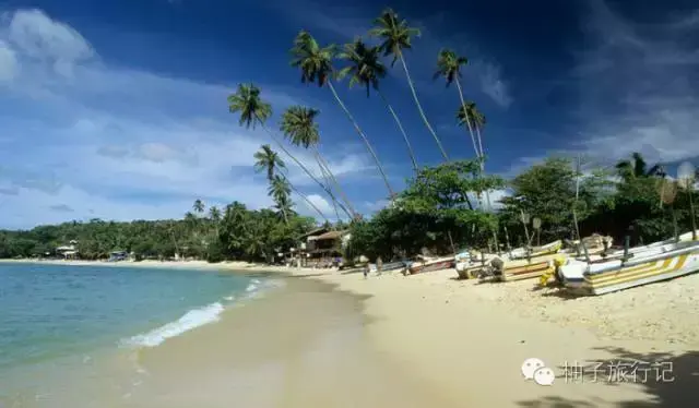 斯里兰卡旅游攻略，斯里兰卡旅游攻略花费（“给读者的”斯里兰卡旅游全攻略详细得不要不要的）