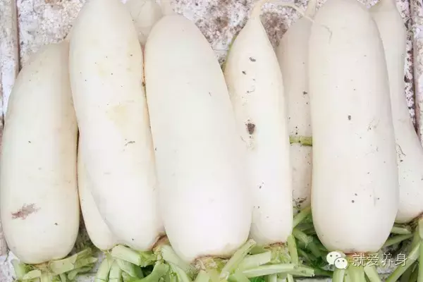 海带的功效，海带的功效与作用以及营养价值（家家都有的两种菜）