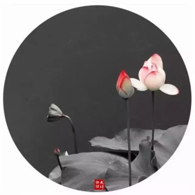 含有哲理的诗句，题西林壁含有哲理的诗句（诗词中那些蕴含哲理的句子）