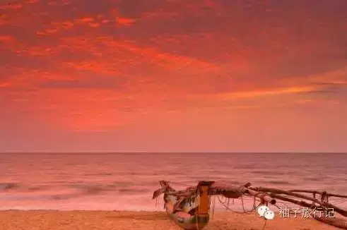 斯里兰卡旅游攻略，斯里兰卡旅游攻略花费（“给读者的”斯里兰卡旅游全攻略详细得不要不要的）