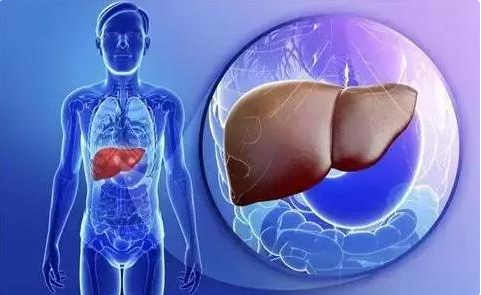 肝炎双重感染，病毒性肝炎重叠感染（什么情况下肝功能会出现异常）