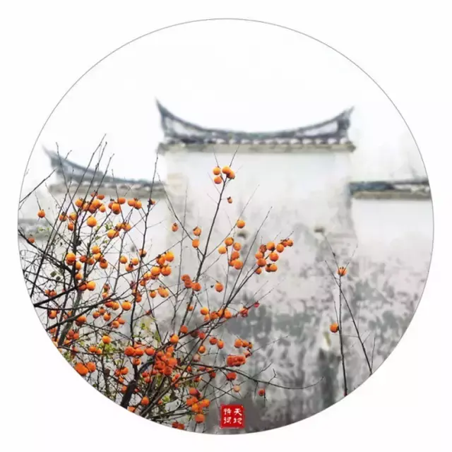 含有哲理的诗句，题西林壁含有哲理的诗句（诗词中那些蕴含哲理的句子）