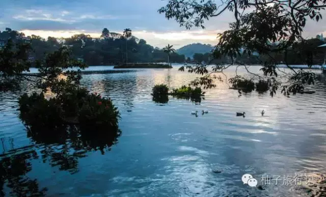 斯里兰卡旅游攻略，斯里兰卡旅游攻略花费（“给读者的”斯里兰卡旅游全攻略详细得不要不要的）