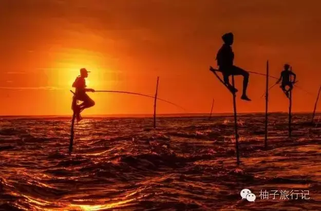 斯里兰卡旅游攻略，斯里兰卡旅游攻略花费（“给读者的”斯里兰卡旅游全攻略详细得不要不要的）