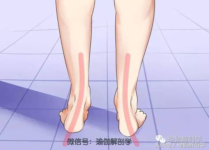 扁平足怎么治疗，扁平足如何治疗和恢复（如何治疗平足Ⅰ——了解平足的类型）