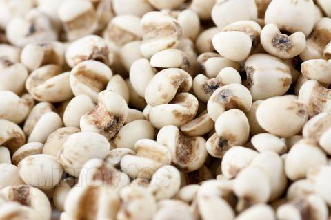 小薏米和大薏米的区别，小薏米和大薏米的区别和功效（是我们入药的祛湿气的薏苡仁吗）