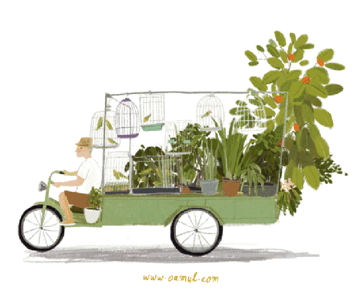 扁担宽板凳长中国话，扁担长板凳宽（没有人会告诉你这些）