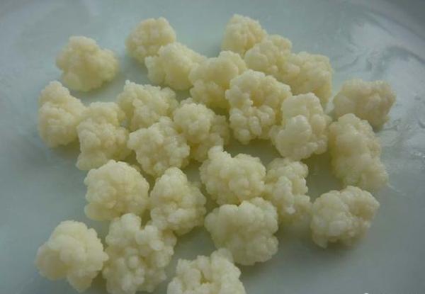 什么人不能喝藏灵菇，藏灵菇不喝了怎么保存（养生之极品——西藏灵谷）