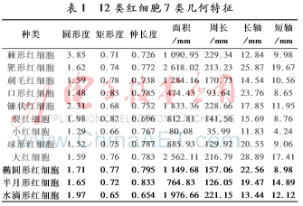 透射电镜图，透射电镜可以分析什么（红细胞SEM图像的三维重构及形状特征提取）