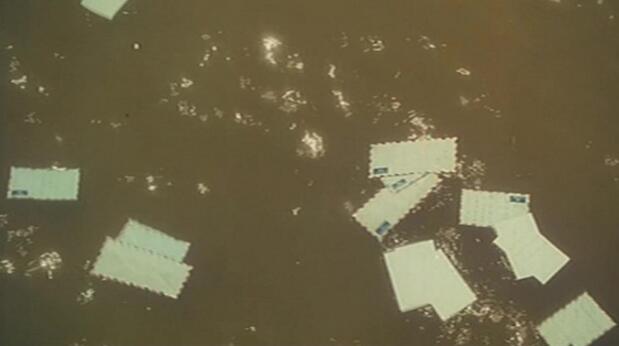 远走高飞歌词，远走高飞歌词完整版（《海上花》——睡梦成真）