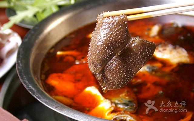 猪肚是什么，猪肚炖什么好吃（牛肚、毛肚、肚仁、金钱肚、百叶）