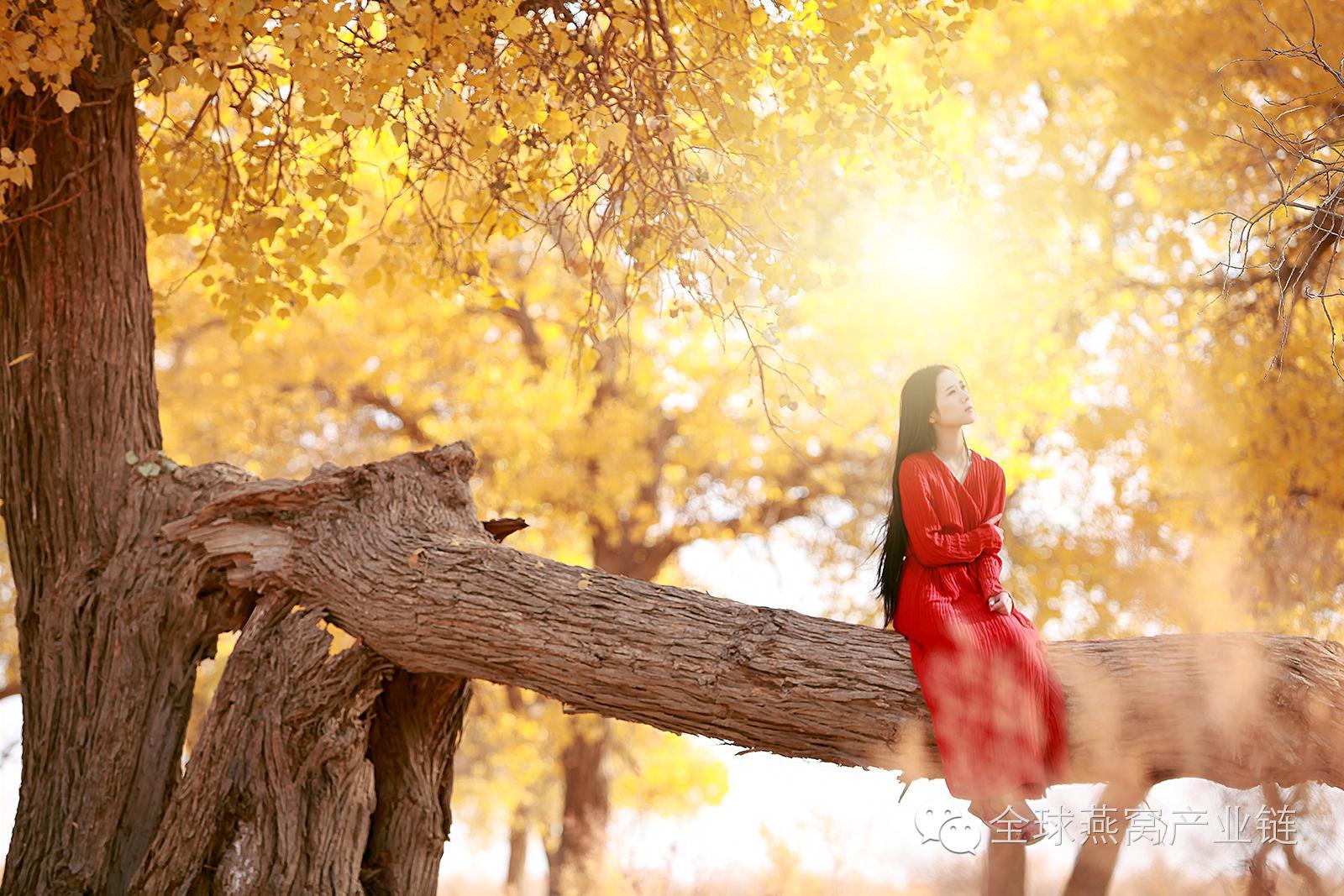 女人常吃燕窝的6大好处，女人常吃燕窝好处（你知道你为什么要吃燕窝吗）