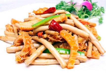 猪肚是什么，猪肚炖什么好吃（牛肚、毛肚、肚仁、金钱肚、百叶）