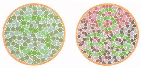 色盲测试卡，色盲测试国际标准版（测了才知道原来色盲这么多啊）