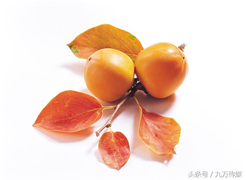 吃柿子饼的禁忌有哪些，吃柿子饼忌什么（你可知吃柿子都有哪些禁忌）