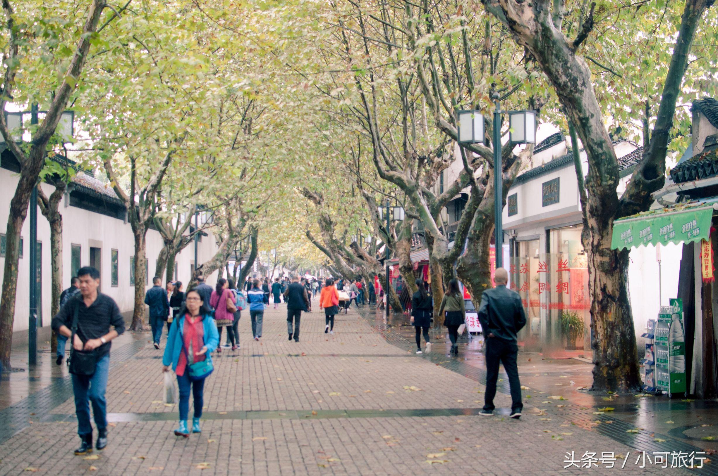 什么牌子的烤肉机好，什么牌子的烤肉机好一点（连夜冒雨飞奔350个公里）