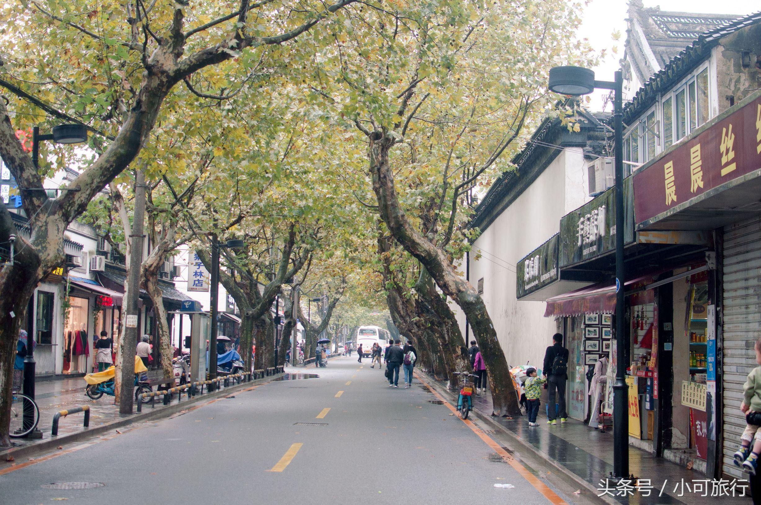 什么牌子的烤肉机好，什么牌子的烤肉机好一点（连夜冒雨飞奔350个公里）