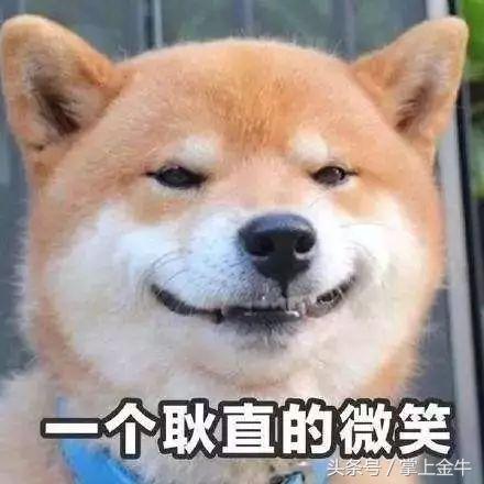 宠物狗不打狂犬可以吗（养宠物狗需要注意的健康问题）