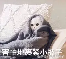 猫咪非常凶怎么办（猫咪天生很凶怎么办）