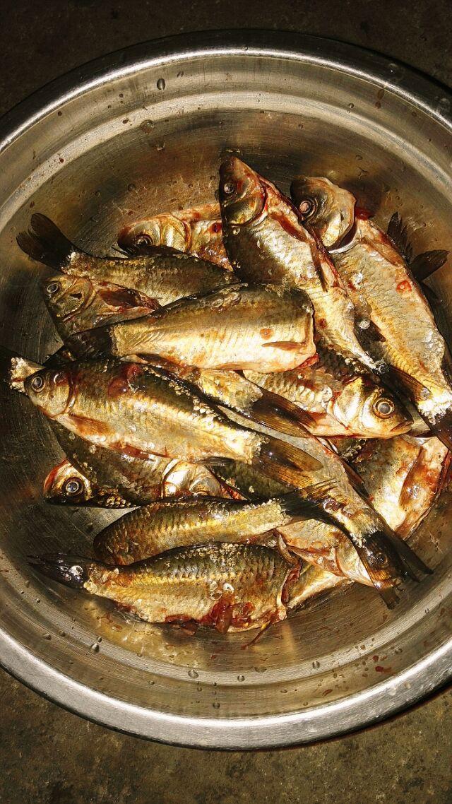 鱼摆摆?,儿子给他爸拿回来的奖状,这么合适_四川翼虎车友会_懂车帝