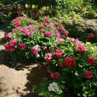 网络时代斌哥1头像