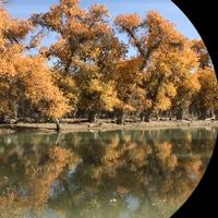 顶级溪水jD7头像