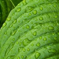 天涯无海角头像