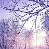 浩子158858105头像