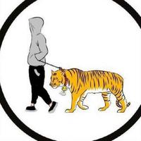 用户161653002头像