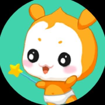 企业法人