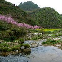 山野影视头像