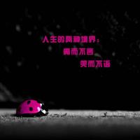 白开水56269731头像