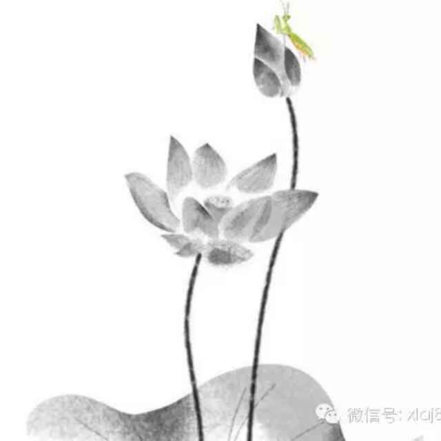九龄22